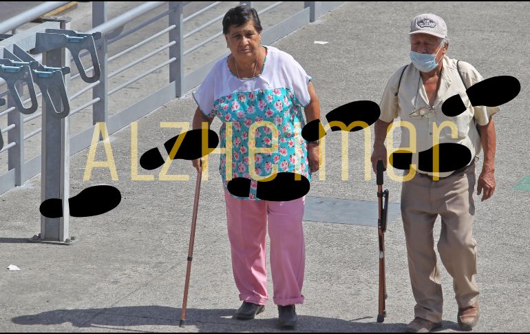 Los investigadores analizaron los datos de 296 participantes de entre 50 y 90 años del Estudio sobre el Envejecimiento Cerebral de Harvard. EL INFORMADOR / ARCHIVO