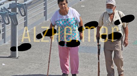 Los investigadores analizaron los datos de 296 participantes de entre 50 y 90 años del Estudio sobre el Envejecimiento Cerebral de Harvard. EL INFORMADOR / ARCHIVO