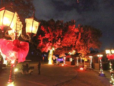 Navidalia regresa a Guadalajara y ya están disponibles los boletos en preventa con precios imperdibles, ¡aprovéchalos y espera la llegada del parque temático de Navidad en la ciudad! EL INFORMADOR / ARCHIVO