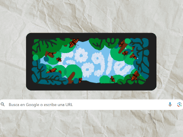 Durante la temporada 2024-2025, las colonias de mariposas monarca se duplicaron y pasaron de ocupar 0.90 a 1.79 hectáreas. ESPECIAL/Google