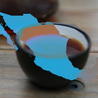 Mapa de las mejores cafeterías del país, según The Best Coffee Shops México