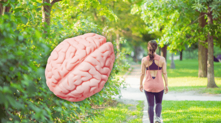La actividad física, señala la Secretaría de Bienestar de México, mejora la salud del cerebro y el aprendizaje. ESPECIAL / CANVA