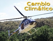 La situación de los bosques alrededor del mundo es dispar. EL INFORMADOR / ARCHIVO