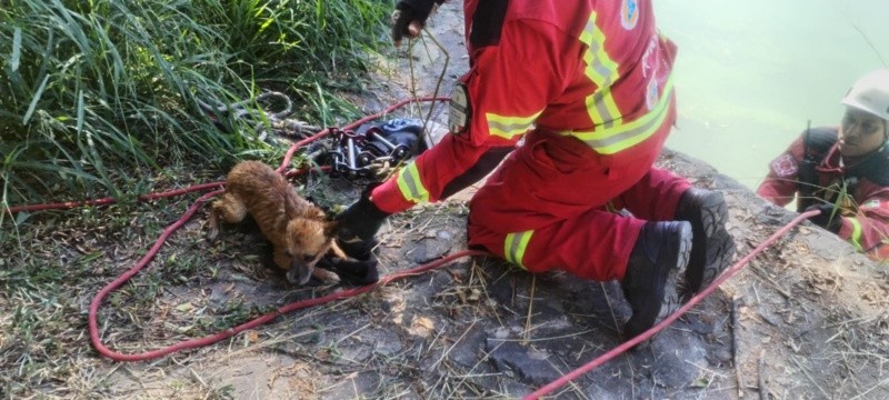CORTESÍA/ Protección Civil y Bomberos Guadalajara 