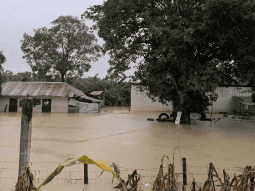 Se elevó a 83 el número de fallecidos en México debido a las inundaciones registradas a principios de octubre. SUN / ARCHIVO