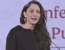 El Proyecto de Presupuesto de Egresos de la Federación 2026, en su versión inicial, contemplaba una gran reducción al presupuesto de Cultura, en comparación con 2025. SUN / F. Rojas