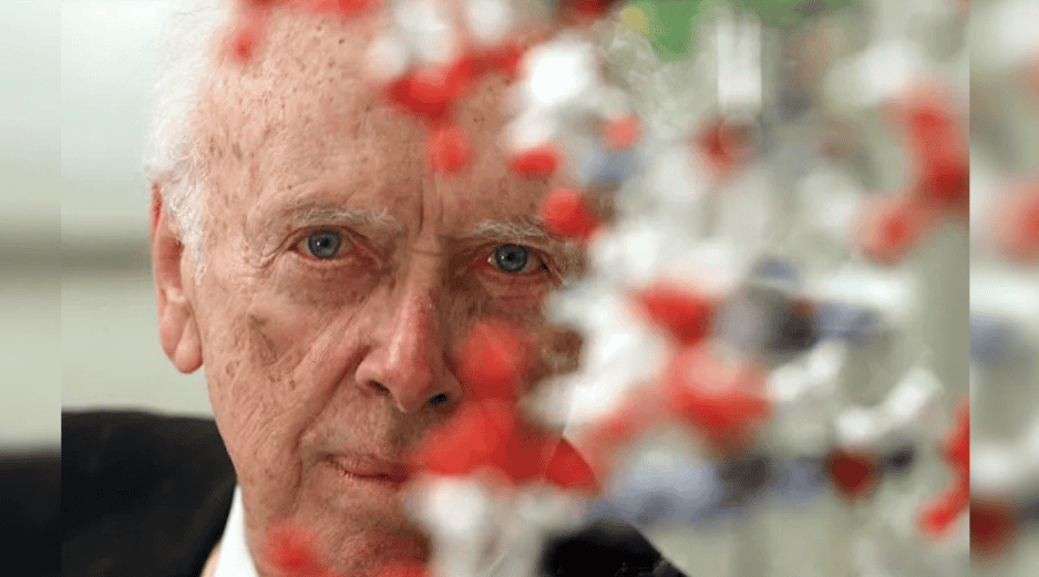 En 1953, con 25 años, Watson ayudó a determinar la estructura del ADN junto al físico Francis Crick, basándose en datos de la química Rosalind Franklin, el biofísico Maurice Wilkins y sus compañeros del King's College, en Londres. AP / ARCHIVO