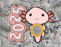 Estrategas de la correduría brasileña XP Investments calculan que el dólar despedirá 2025 sobre 18 pesos y cerrará el siguiente año en 17.10 unidades. ESPECIAL / CANVA