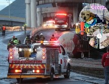 Esto fue de la perrita lastimada por la explosión de una pipa en Ixtapalapa el pasado mes de septiembre. EFE / ARCHIVO