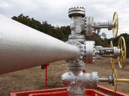 El proyecto para generar energía eléctrica a partir de geotermia en La Primavera data de la década de 1970 y ha resurgido como opción en ocasiones posteriores; uno de los motivos por los que no se ha concretado es la posibilidad de daños ambientales. EL INORMADOR/Archivo