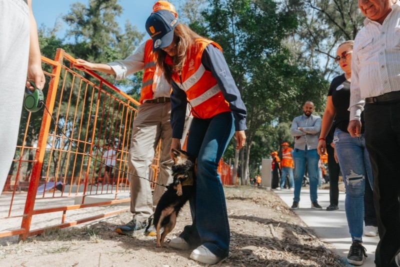   ESPECIAL / AYUNTAMIENTO DE GUADALAJARA