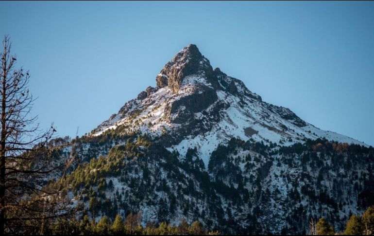 El otoño en los bosques jaliscienses es una experiencia sensorial, se escuchan los grillos y los pájaros, se siente el crujir de las hojas bajo los pies, se huele la resina y la madera húmeda. CORTESÍA / Gobierno de Zapotlán