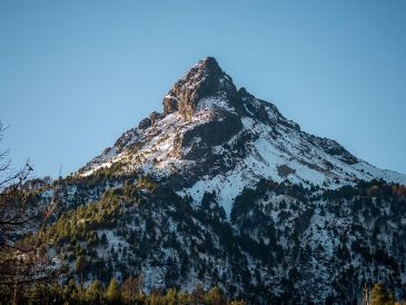 El otoño en los bosques jaliscienses es una experiencia sensorial, se escuchan los grillos y los pájaros, se siente el crujir de las hojas bajo los pies, se huele la resina y la madera húmeda. CORTESÍA / Gobierno de Zapotlán