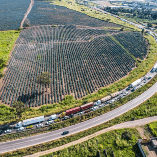 Campesinos y transportistas anuncian paro nacional en ESTA fecha
