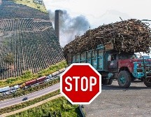 Javier Sánchez aseguró que la organización de productores de caña de azúcar que encabeza estableció un acuerdo económico con el Gobierno de México. EFE / EL INFORMADOR / ARCHIVO