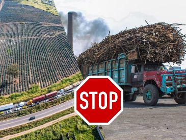 Javier Sánchez aseguró que la organización de productores de caña de azúcar que encabeza estableció un acuerdo económico con el Gobierno de México. EFE / EL INFORMADOR / ARCHIVO