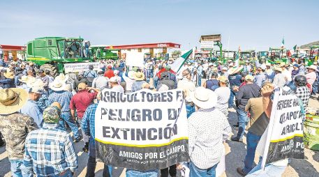 Mientras Tlajomulco y el Gobierno de Jalisco aumentan apoyos a los maiceros, éstos amenazan con repetir bloqueos a nivel nacional el próximo 24 de noviembre, por diferencias con el Gobierno federal. EL INFORMADOR/ A. Navarro