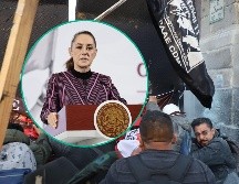 Los manifestantes, tras no conseguir acceder a Palacio Nacional, se desplazaron hacia la Cámara de Diputados, donde realizarán un plantón. EFE / ARCHIVO / M. Hartz