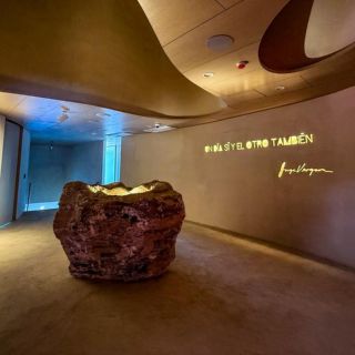 JOVEM emerge en el Estadio Akron impulsado por el espíritu innovador de Jorge Vergara