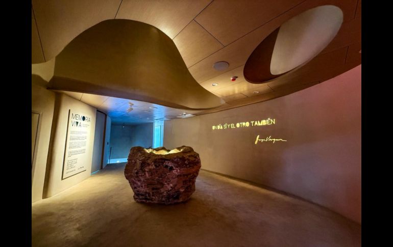 El museo fue diseñado como una “grotto”, una cueva dentro del volcán que representa el estadio, y dialoga con elementos naturales como un pirul centenario, que se convierte en “árbol guardián” del recinto. EL INFORMADOR/ A. Navarro