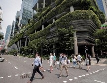 El estudio advierte también sobre otro fenómeno: la llamada gentrificación verde. EFE / ARCHIVO