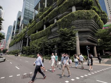 El estudio advierte también sobre otro fenómeno: la llamada gentrificación verde. EFE / ARCHIVO