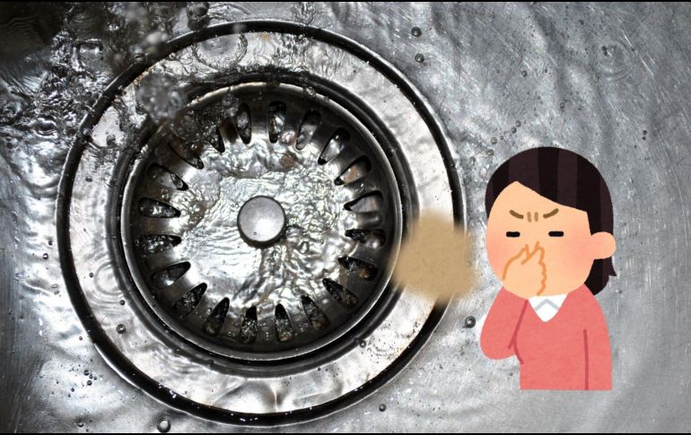 Esta señal de alerta debe atenderse en el menor tiempo posible, pues si se ignora se corre el riesgo de que plagas indeseables sean atraídas por el aroma. CANVA.