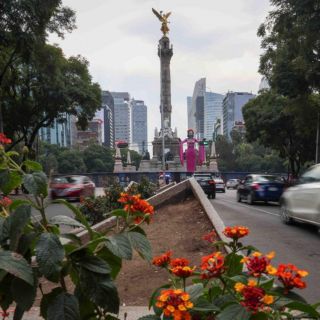 Hoy No Circula en CDMX y Edomex este miércoles 19 de noviembre