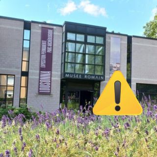 Denuncian robo de valiosas monedas de oro en el Museo Romano de Lausana