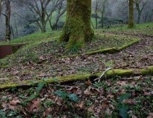 Mediante 34 piezas fotográficas, tres fotolibros y una videoinstalación, Pons ilumina aquello que ha sido silenciado en la memoria colectiva. ESPECIAL / ESPE PONS