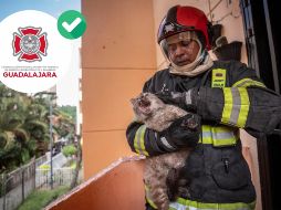 No se presentaron lesionados pese a la densidad del humo provocado por el incendio. ESPECIAL / FACEBOOK Protección Civil y Bomberos GDL