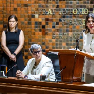 Mónica Magaña acusa a diputado de Morena de violencia política y de género