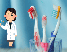 El mejor cepillo de dientes es aquel de cerdas suaves inclinadas, según Colgate. CANVAL