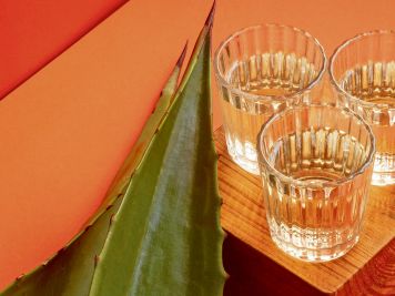 Mascota brinda por su tradición raicillera