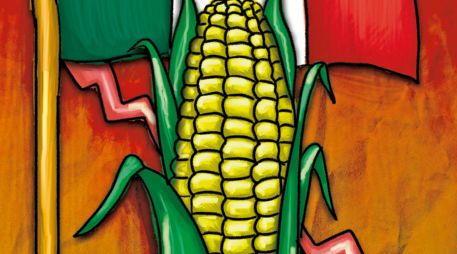 La tonelada de maíz se cotiza en los mercados internacionales en poco más de tres mil pesos por tonelada. Los agricultores piden siete mil 200 para no perder lo invertido y rescatar algo de beneficio. ESPECIAL/Valeria Berrrueco