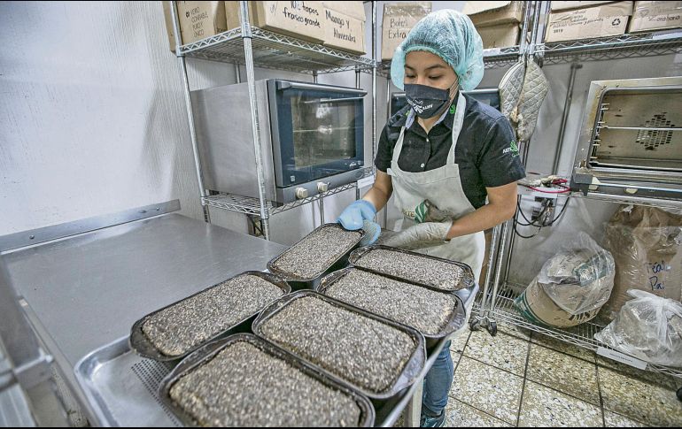 La limitada creación de empleos formales impulsa la informalidad y reduce la seguridad económica de las familias. ESPECIAL