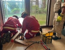 El Ministerio Público será la dependencia encargada de esclarecer los hechos. ESPECIAL/Coordinación Municipal de Protección Civil y Bomberos de Zapopan