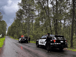 La Policía Estatal de Caminos mantiene vigente la convocatoria para la conformación de esta corporación, considerando solo a personas ciudadanas mexicanas. ESPECIAL / Secretaría de Seguridad