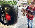 El día de ayer, Bomberos de Guadalajara lograron rescatar a un gato que llevaba varios días atorado en un pozo. ESPECIAL / FACEBOOK Protección Civil y Bomberos GDL