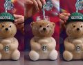 Starbucks confirmó que la Bearista Cup estará disponible en México. INSTAGRAM/@starbucksmex/ESPECIAL