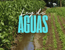 Campesinos señalan que la reforma genera incertidumbre sobre su patrimonio y pone en riesgo la operación cotidiana de miles de unidades productivas. EL INFORMADOR / ARCHIVO