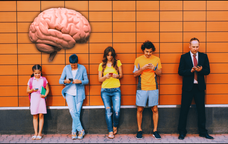 Estos cambios en el cerebro se diferencian entre sí por cambios en la conectividad neuronal. ESPECIAL / CANVA