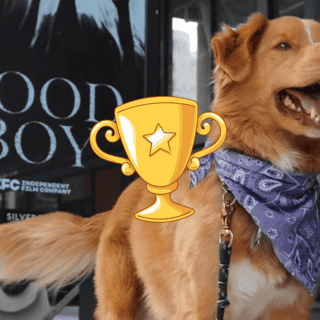 Perrito de "Good Boy" es nominado en los Astra Film Awards 2026