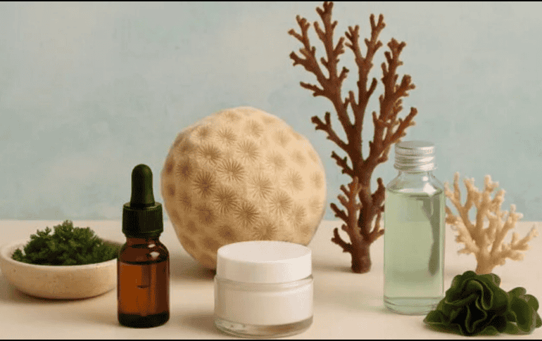 Europa busca impulsar la bieconomía en ciertas industrias del mercado. EFE / ARCHIVO