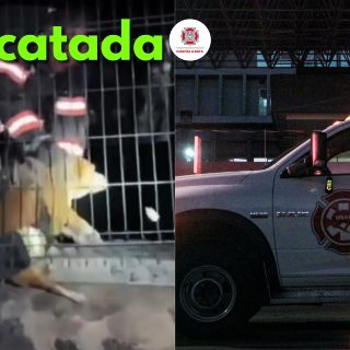 Rescatan a lomito que cayó en el canal de Patria