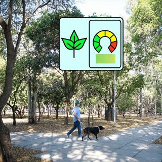 Calidad del Aire AMG: Así amanece la ciudad HOY viernes 28 de noviembre