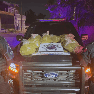 Aseguran cerca de 30 kilos de marihuana en un terreno baldío en Zapopan