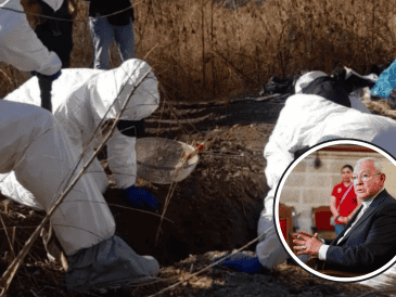 “Ojalá que las autoridades vayan poniendo remedio con la aplicación de la Ley”, sostuvo el cardenal Franscisco Robles Ortega. EL INFORMADOR / ARCHIVO / ESPECIAL / CANVA