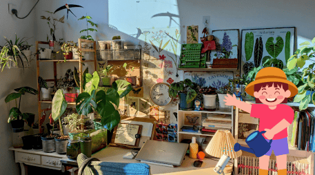 Se aconseja colocarlas en zonas donde reciban la luz adecuada para su especie. CANVA