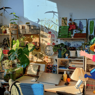 ¿Cuáles son las mejores plantas para interiores?